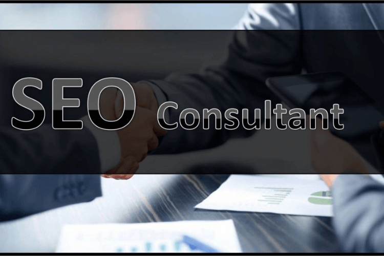Comment devenir un expert SEO ? – Expertise SEO
